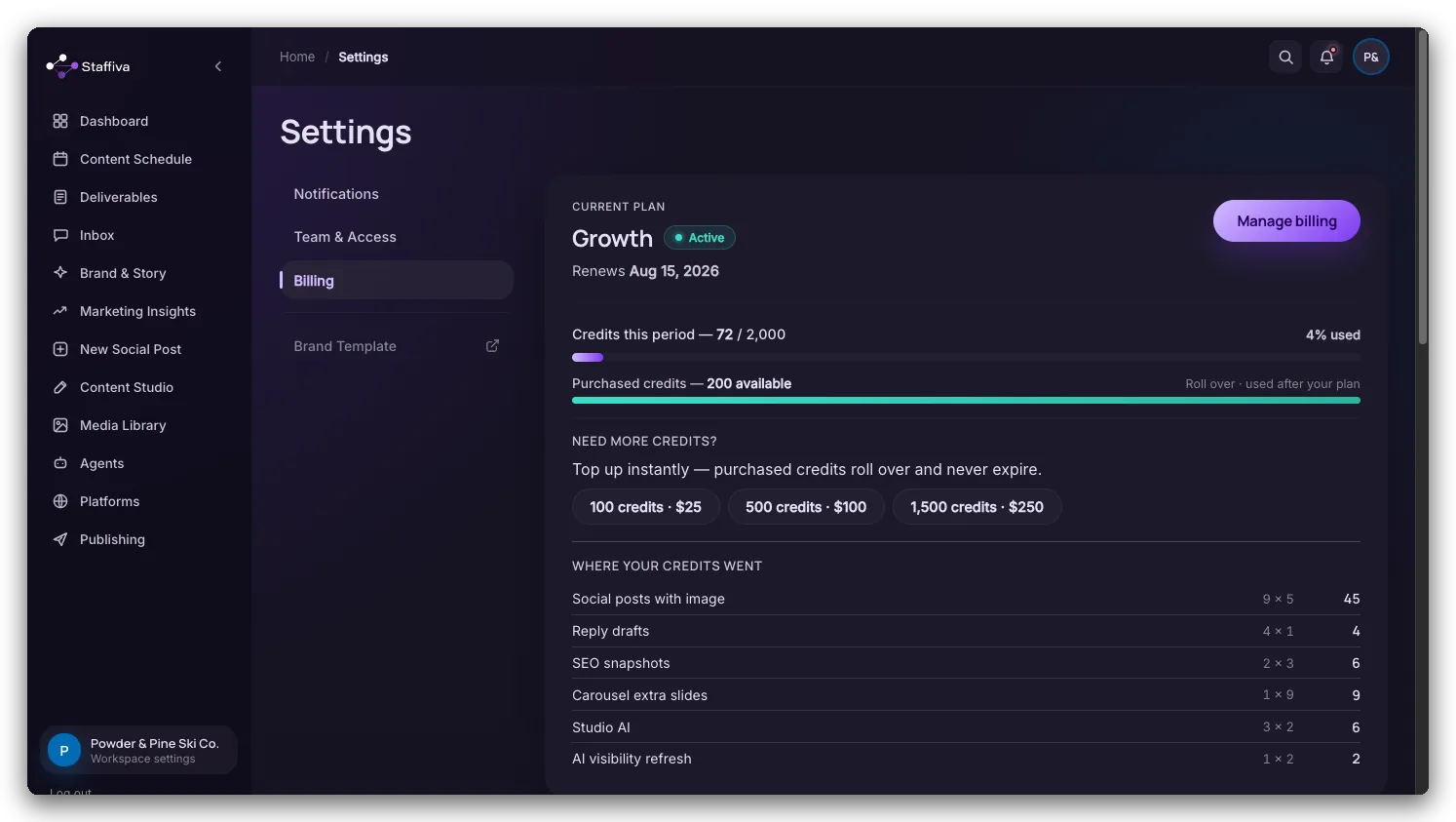 The Settings page's credit section: the per-action price list and this cycle's usage table.